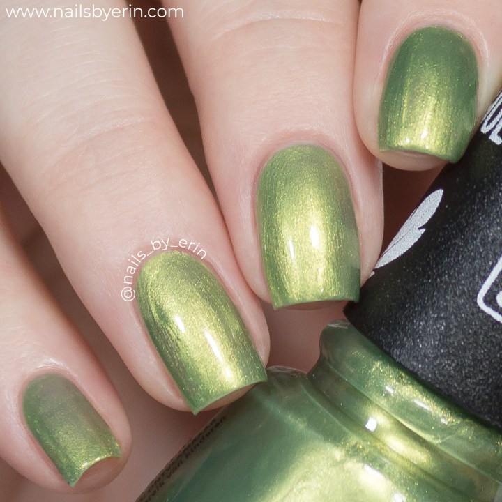 Trash-Can-Do-Attitude-pic1